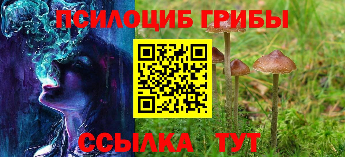 Псилоцибиновые грибы Magic Shrooms  Вход с VPN  Архангельск 